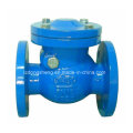 DIN Cast Iron Swing Check Valve, Pn16